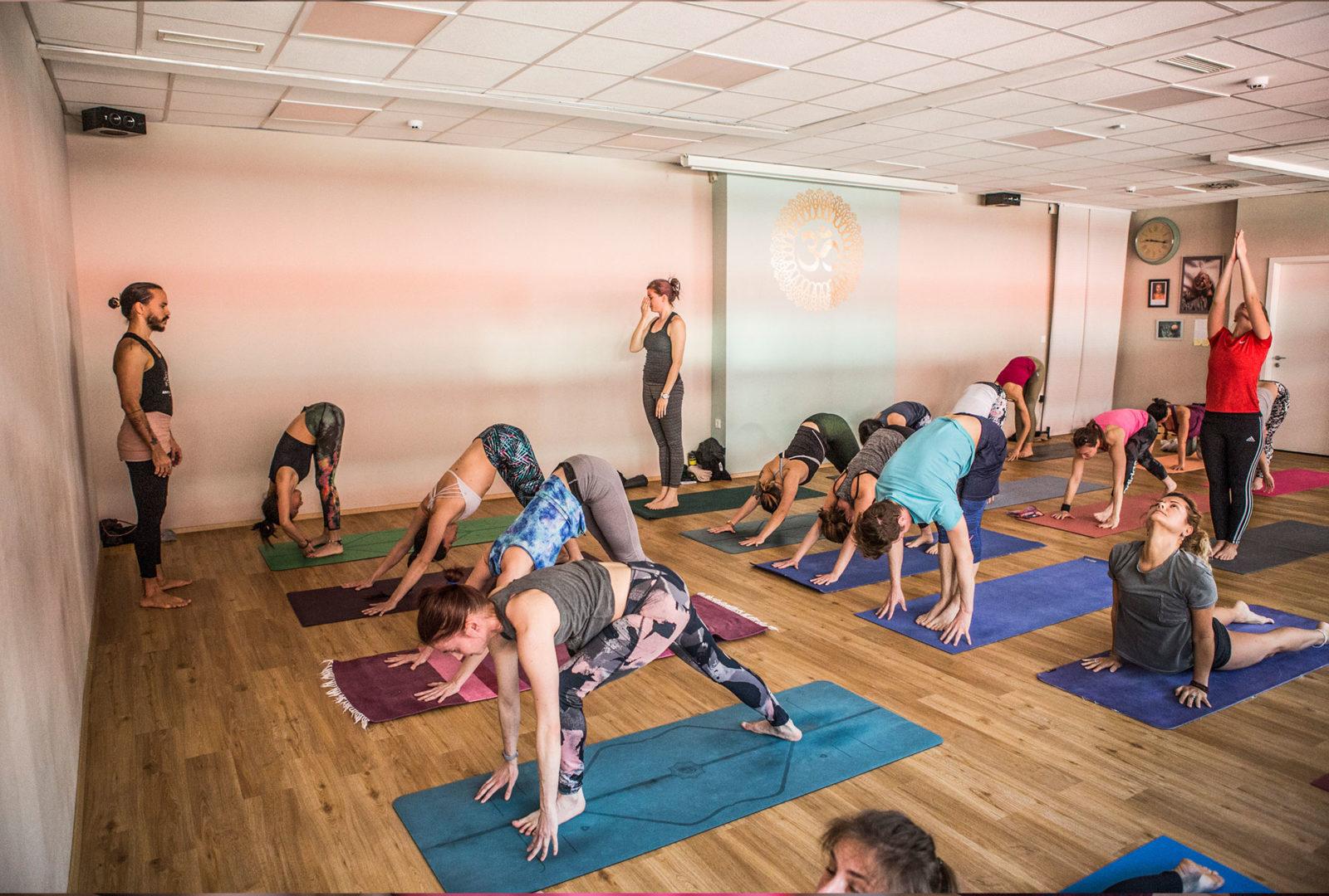 Read more about the article A weekend of Ashtanga yoga with Lucas Carvalho and Sasha Masiello